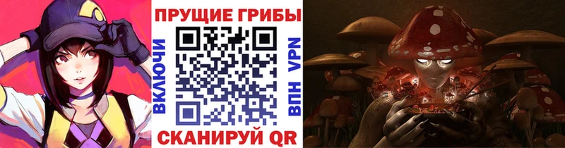 Галлюциногенные грибы Psilocybe  Богородицк 